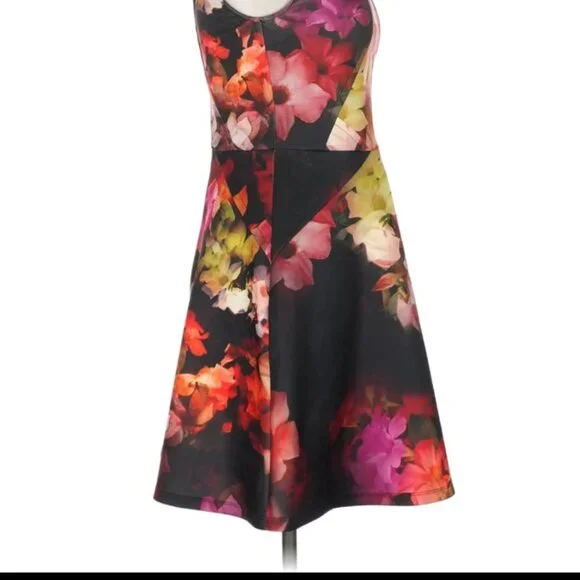 Ted Baker London Dress
